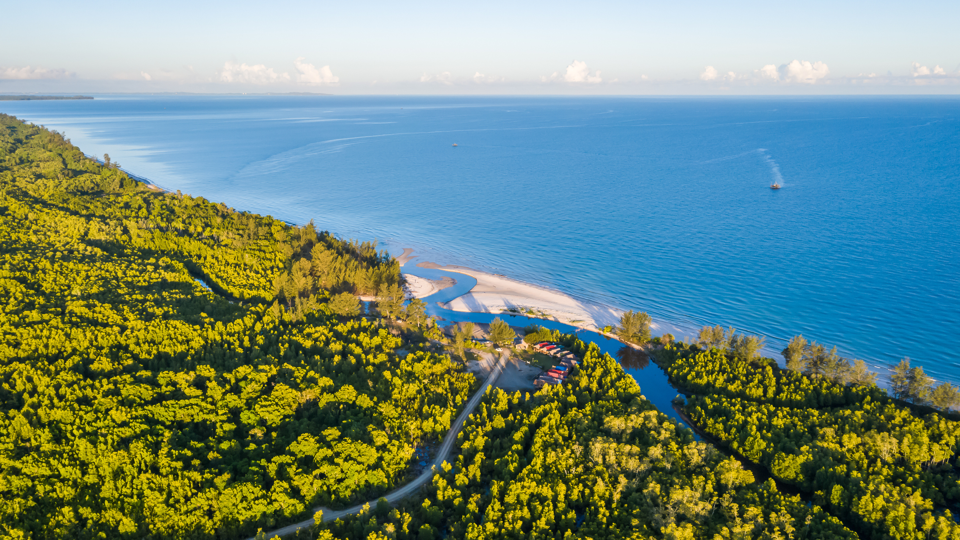 Mangrove forest, Borneo Sabah